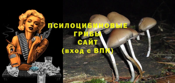 гашишное масло Дмитриев