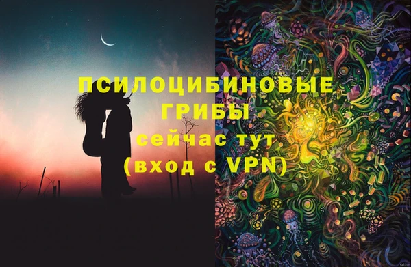 эйфоретик Дмитровск